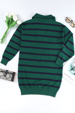 Load image into Gallery viewer, Blue Striped O-ring Zip Collared Loose Sweater Mini Dress