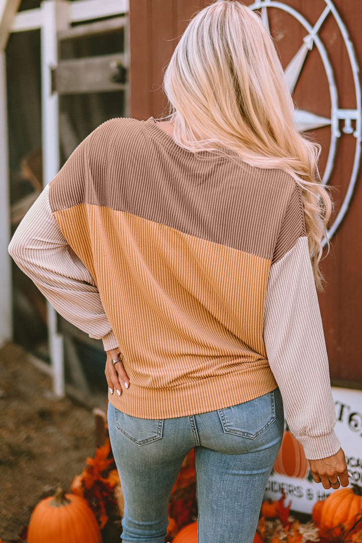 Multicolor Color Block Long Sleeve Ribbed Loose Top - Fashion Queen -  24
